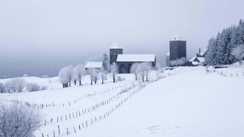 WinterAubrac 1920x1080