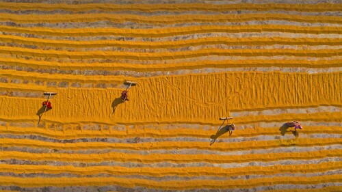 Rice Bangladesh