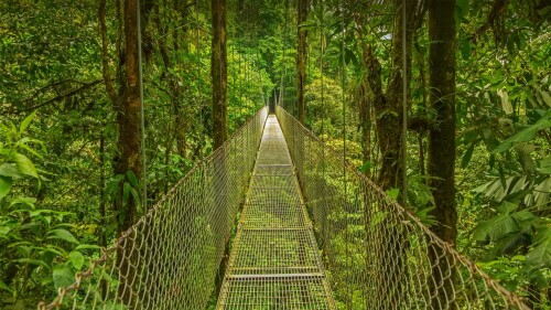 Monteverde 1920x1080